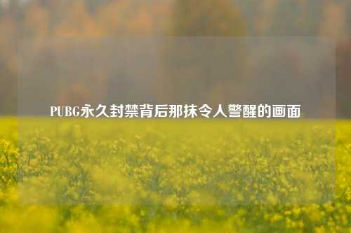 PUBG永久封禁背后那抹令人警醒的画面
