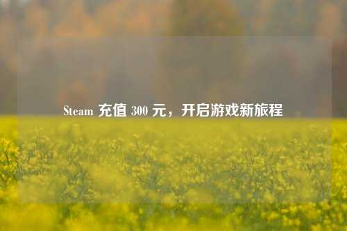 Steam 充值 300 元，开启游戏新旅程