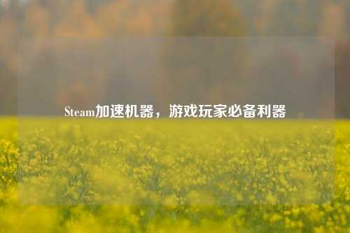 Steam加速机器，游戏玩家必备利器