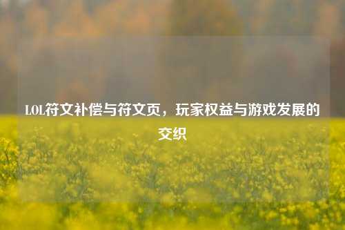 LOL符文补偿与符文页，玩家权益与游戏发展的交织