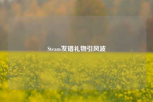 Steam发错礼物引风波
