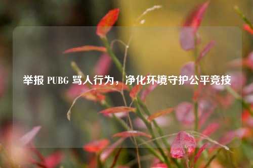 举报 PUBG 骂人行为，净化环境守护公平竞技