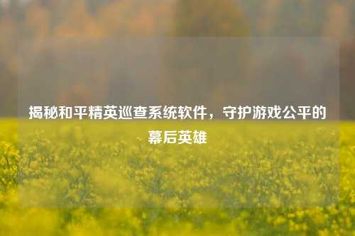 揭秘和平精英巡查系统软件，守护游戏公平的幕后英雄