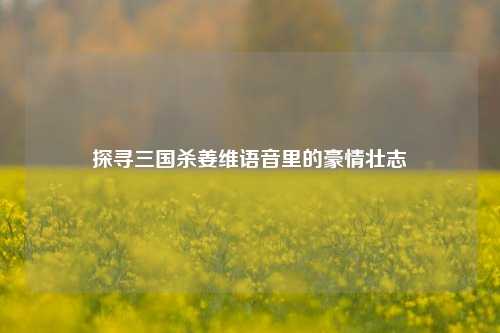 探寻三国杀姜维语音里的豪情壮志