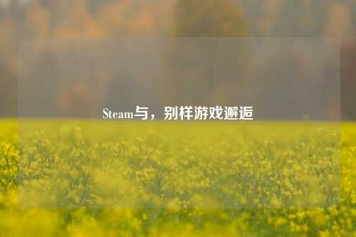 Steam与，别样游戏邂逅