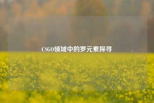 CSGO领域中的罗元素探寻