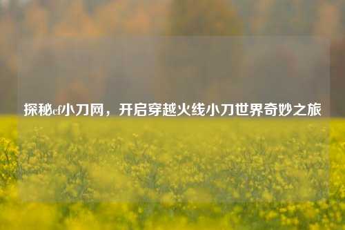探秘cf小刀网，开启穿越火线小刀世界奇妙之旅