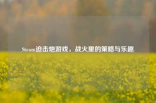 Steam迫击炮游戏，战火里的策略与乐趣
