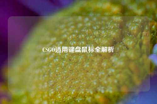 CSGO适用键盘鼠标全解析