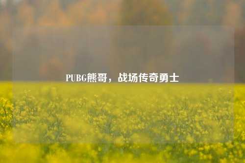 PUBG熊哥，战场传奇勇士