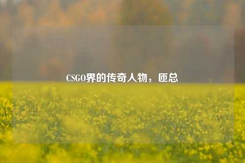 CSGO界的传奇人物，匝总