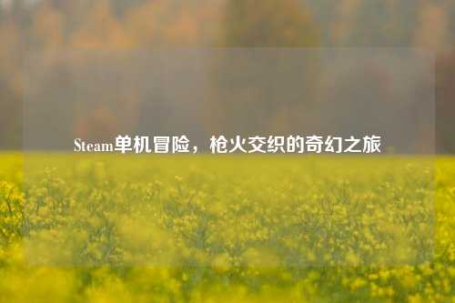 Steam单机冒险，枪火交织的奇幻之旅