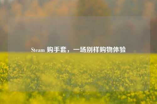 Steam 购手套，一场别样购物体验