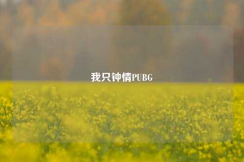 我只钟情PUBG
