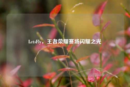 LetsFly，王者荣耀赛场闪耀之光