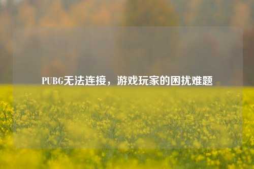 PUBG无法连接，游戏玩家的困扰难题