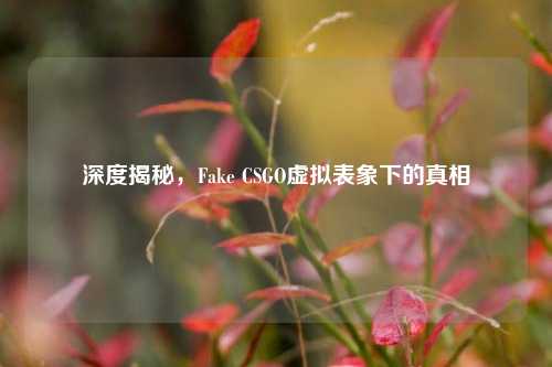 深度揭秘，Fake CSGO虚拟表象下的真相