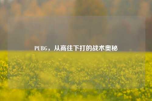 PUBG，从高往下打的战术奥秘