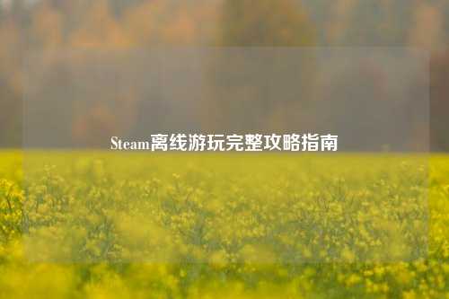 Steam离线游玩完整攻略指南