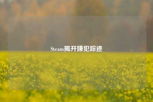Steam揭开嫌犯踪迹