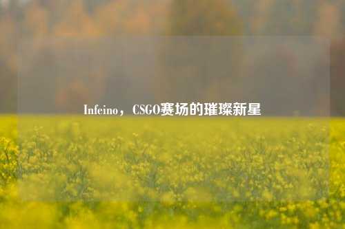 Infeino，CSGO赛场的璀璨新星