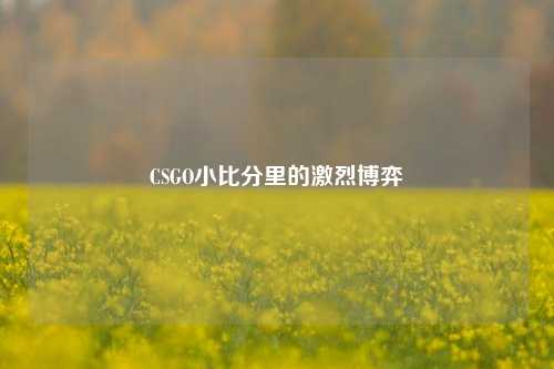 CSGO小比分里的激烈博弈