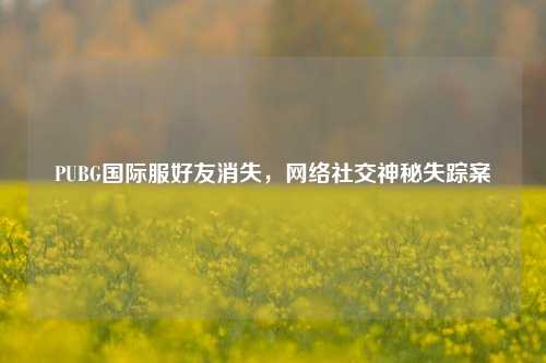 PUBG国际服好友消失,网络社交神秘失踪案
