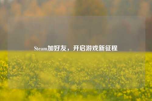 Steam加好友，开启游戏新征程