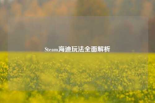 Steam海迪玩法全面解析
