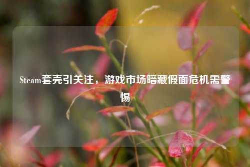 Steam套壳引关注，游戏市场暗藏假面危机需警惕
