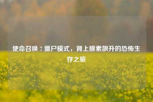 使命召唤 7 僵尸模式,肾上腺素飙升的恐怖生存之旅