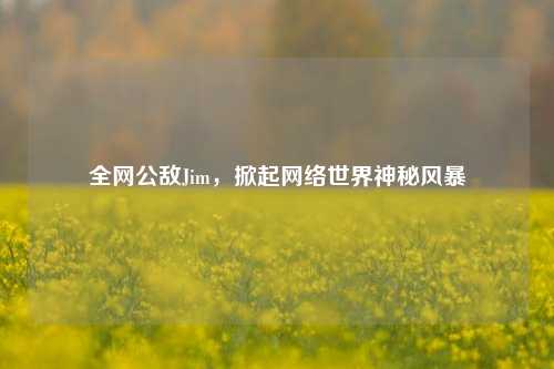 全网公敌Jim，掀起网络世界神秘风暴