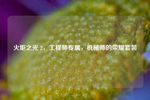 火炬之光 2，工程师专属，机械师的荣耀套装
