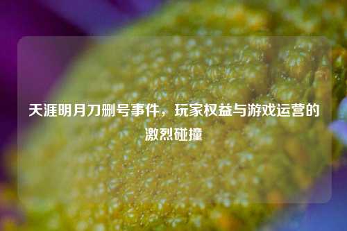 天涯明月刀删号事件，玩家权益与游戏运营的激烈碰撞