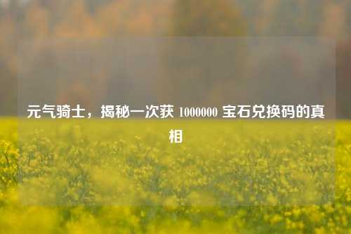 元气骑士，揭秘一次获 1000000 宝石兑换码的真相