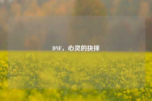 DNF，心灵的抉择