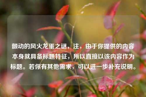 颤动的风火龙蛋之谜，注，由于你提供的内容本身就具备标题特征，所以直接以该内容作为标题。若你有其他需求，可以进一步补充说明。