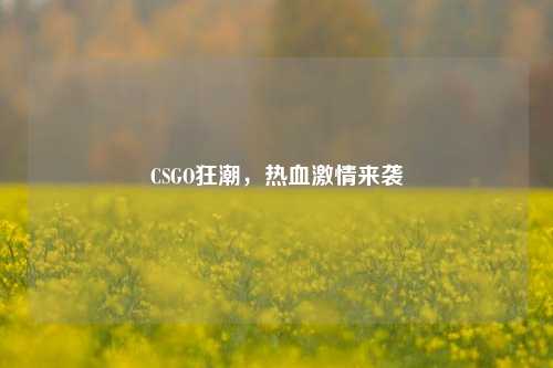 CSGO狂潮，热血激情来袭