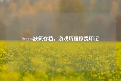 Steam缺氧存档，游戏历程珍贵印记
