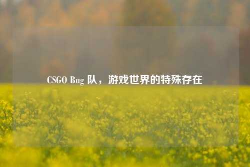 CSGO Bug 队，游戏世界的特殊存在
