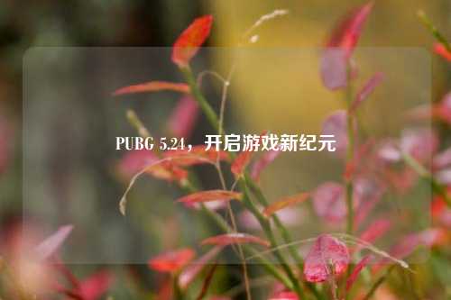 PUBG 5.24，开启游戏新纪元
