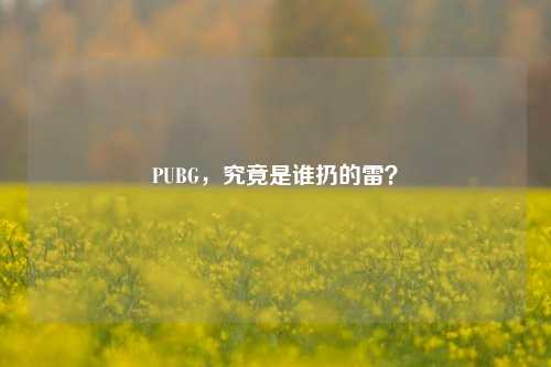 PUBG，究竟是谁扔的雷？