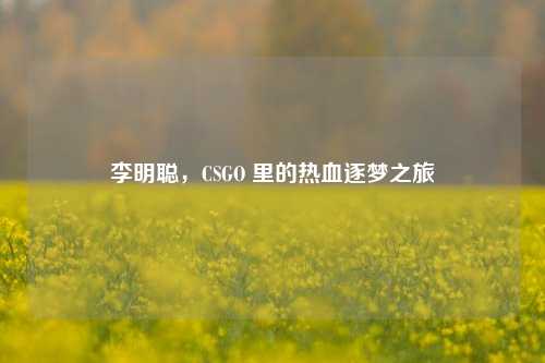 李明聪，CSGO 里的热血逐梦之旅