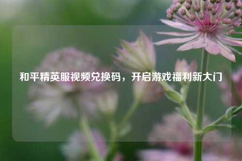 和平精英服视频兑换码，开启游戏福利新大门