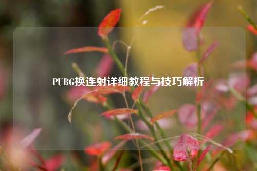 PUBG换连射详细教程与技巧解析