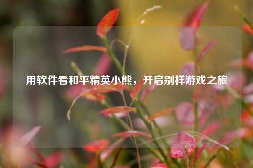 用软件看和平精英小熊，开启别样游戏之旅