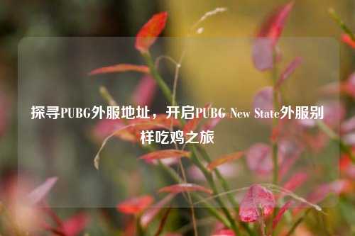 探寻PUBG外服地址，开启PUBG New State外服别样吃鸡之旅