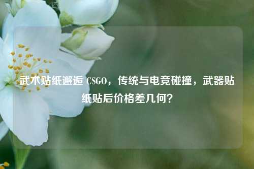 武术贴纸邂逅 CSGO，传统与电竞碰撞，武器贴纸贴后价格差几何？