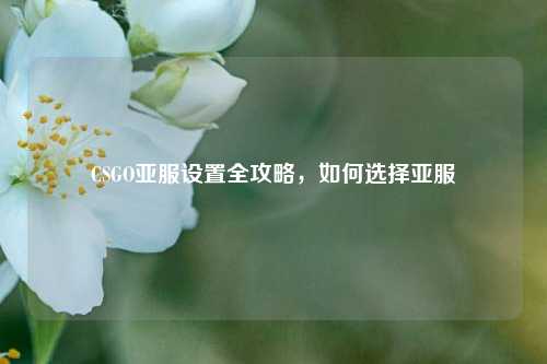 CSGO亚服设置全攻略，如何选择亚服