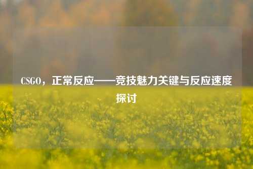 CSGO，正常反应——竞技魅力关键与反应速度探讨
